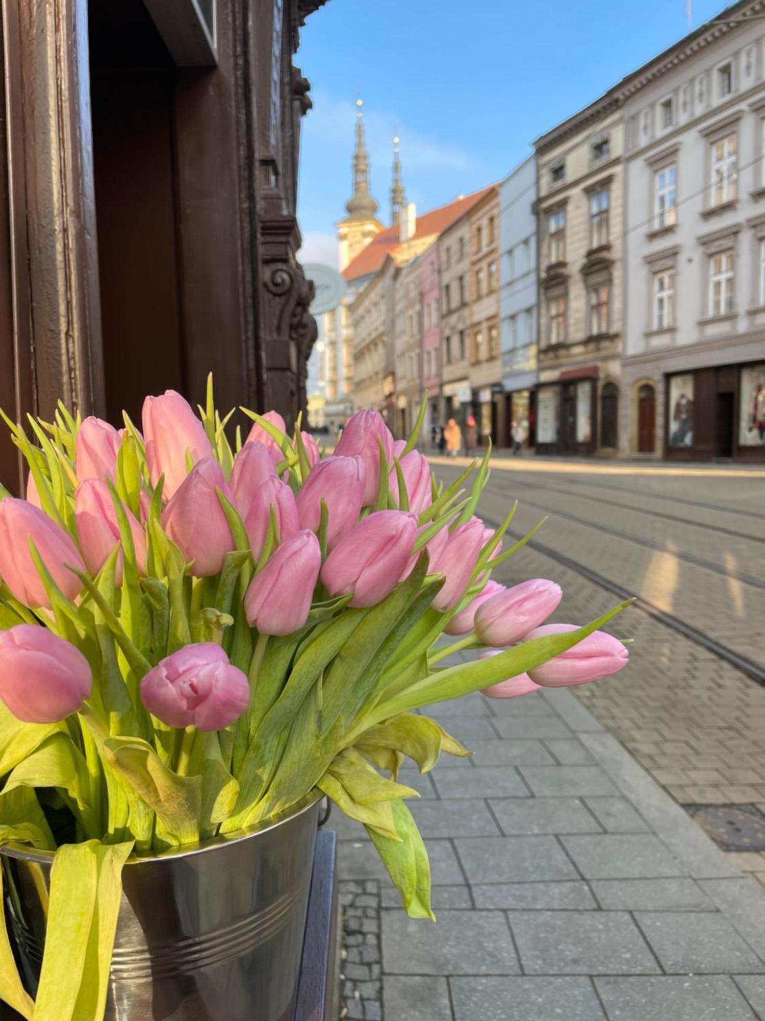 Kovarik Apartments I Ołomuniec Zewnętrze zdjęcie
